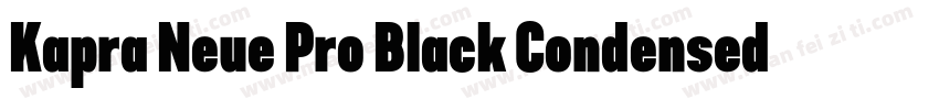 Kapra Neue Pro Black Condensed Roun字体转换